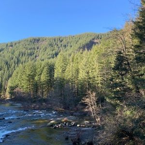 Meet your Posher, Cody